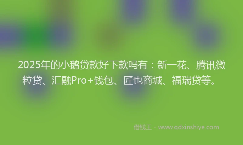2025年的小鹅贷款好下款吗有：新一花、腾讯微粒贷、汇融Pro+钱包、匠也商城、福瑞贷等。