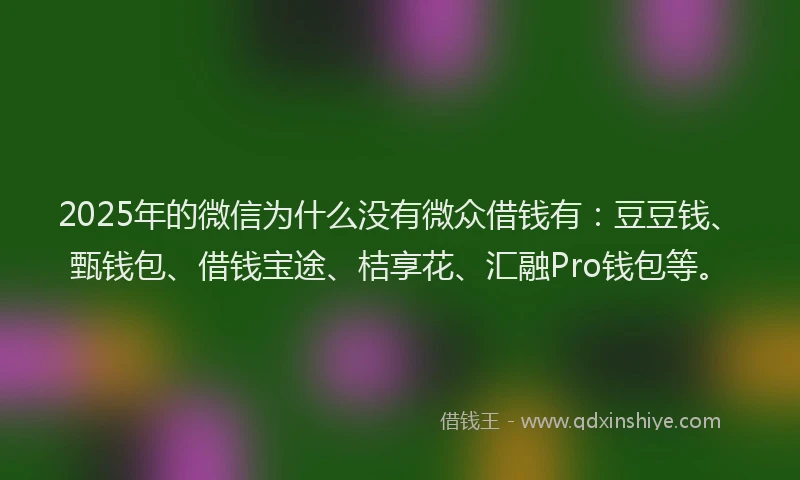 2025年的微信为什么没有微众借钱有：豆豆钱、甄钱包、借钱宝途、桔享花、汇融Pro钱包等。