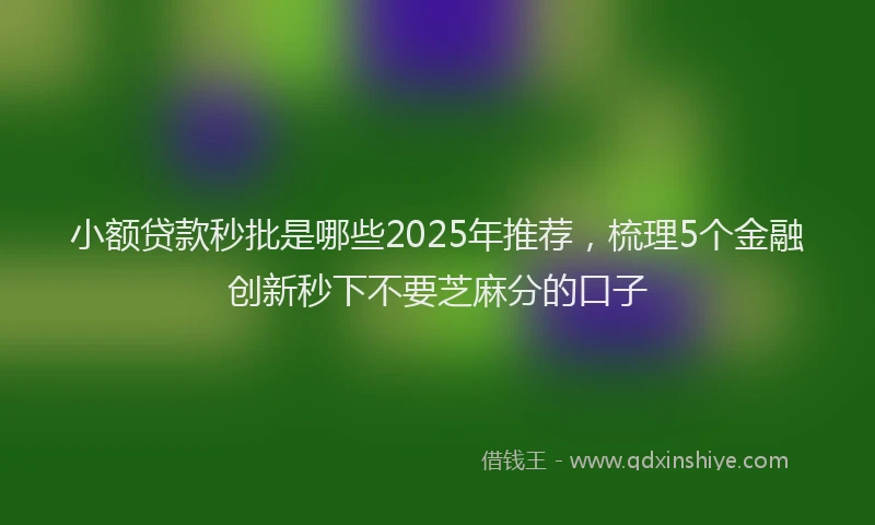 小额贷款秒批是哪些2025年推荐，梳理5个金融创新秒下不要芝麻分的口子