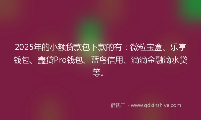 2025年的小额贷款包下款的有：微粒宝盒、乐享钱包、鑫贷Pro钱包、蓝鸟信用、滴滴金融滴水贷等。