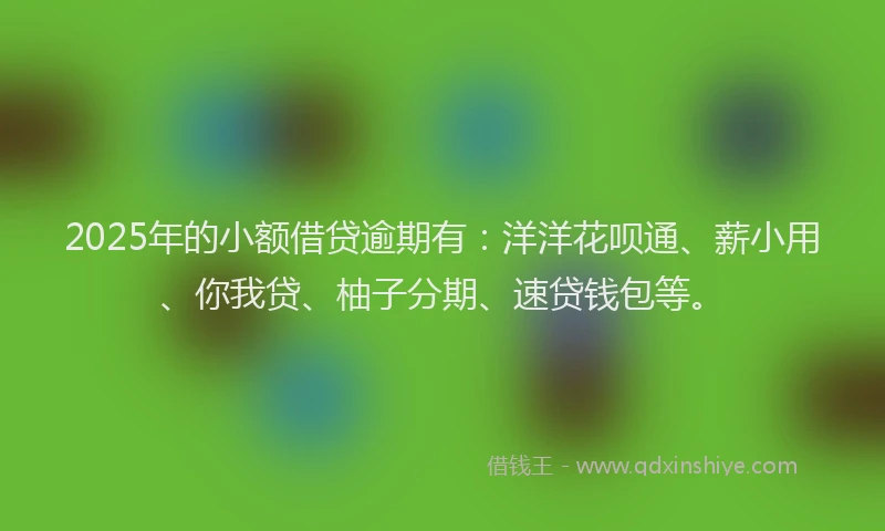2025年的小额借贷逾期有：洋洋花呗通、薪小用、你我贷、柚子分期、速贷钱包等。
