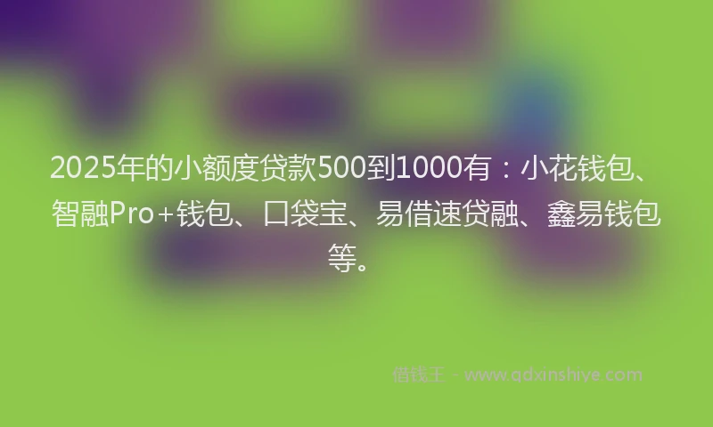 2025年的小额度贷款500到1000有：小花钱包、智融Pro+钱包、口袋宝、易借速贷融、鑫易钱包等。
