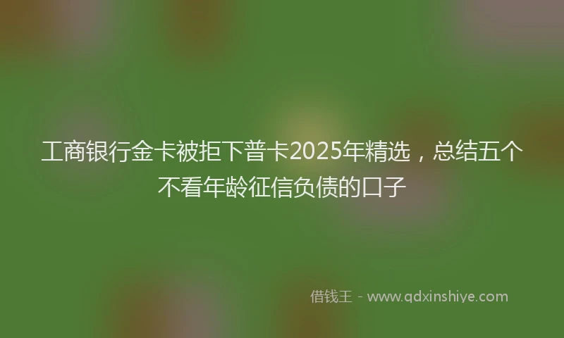 工商银行金卡被拒下普卡2025年精选，总结五个不看年龄征信负债的口子