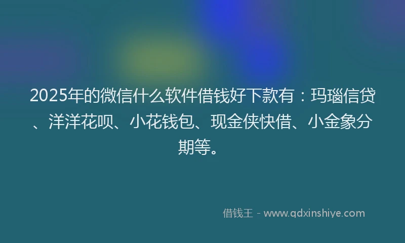 2025年的微信什么软件借钱好下款有：玛瑙信贷、洋洋花呗、小花钱包、现金侠快借、小金象分期等。