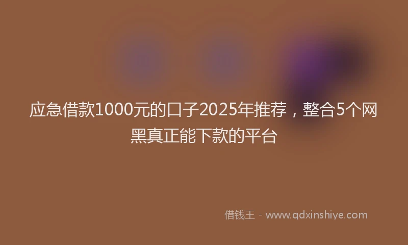 应急借款1000元的口子2025年推荐，整合5个网黑真正能下款的平台
