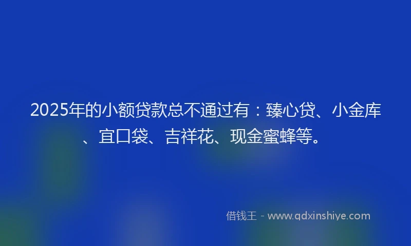 2025年的小额贷款总不通过有：臻心贷、小金库、宜口袋、吉祥花、现金蜜蜂等。