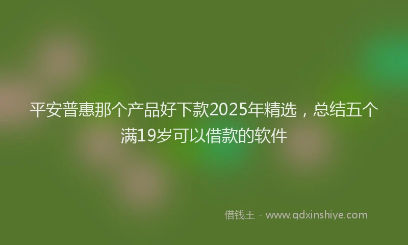 平安普惠那个产品好下款2025年精选，总结五个满19岁可以借款的软件