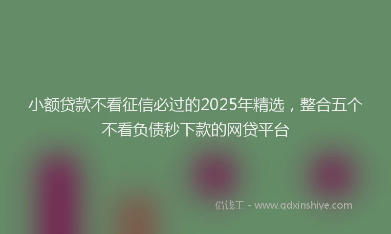 小额贷款不看征信必过的2025年精选，整合五个不看负债秒下款的网贷平台