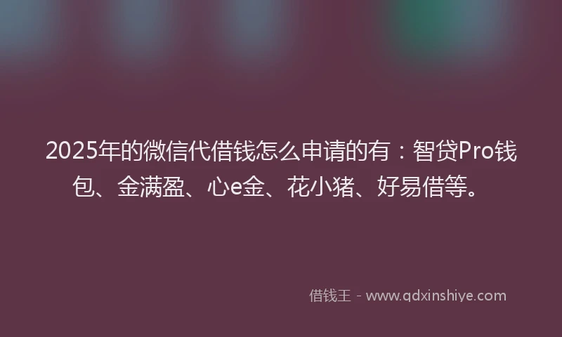 2025年的微信代借钱怎么申请的有：智贷Pro钱包、金满盈、心e金、花小猪、好易借等。
