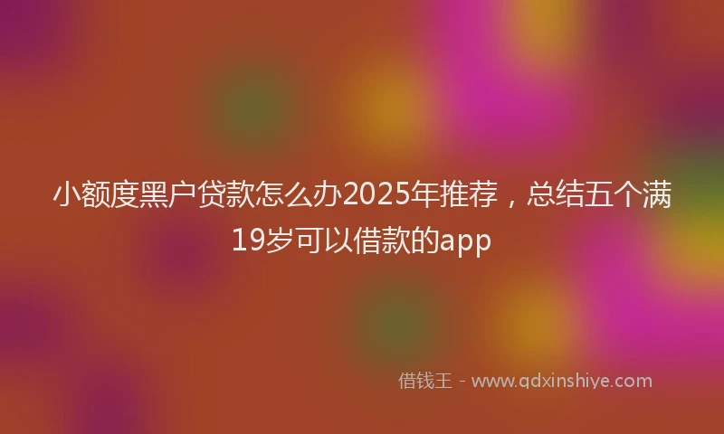 小额度黑户贷款怎么办2025年推荐，总结五个满19岁可以借款的app