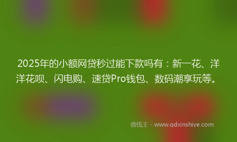 2025年的小额网贷秒过能下款吗有：新一花、洋洋花呗、闪电购、速贷Pro钱包、数码潮享玩等。