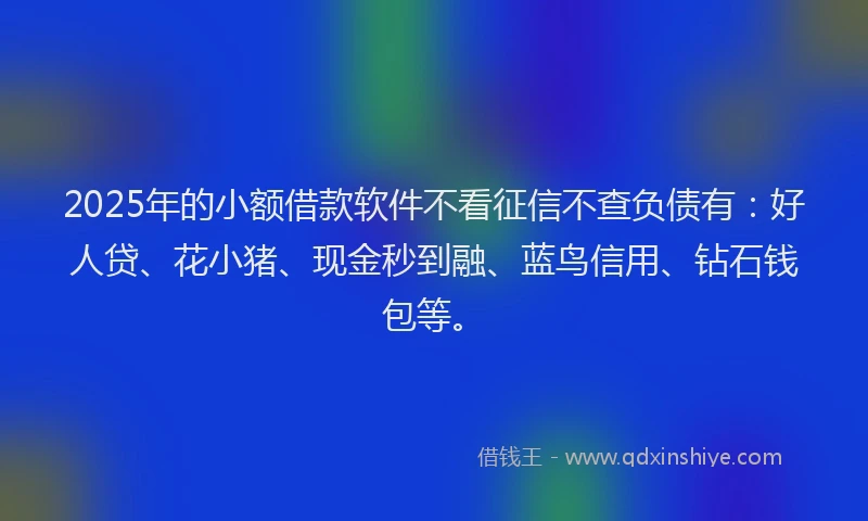 2025年的小额借款软件不看征信不查负债有：好人贷、花小猪、现金秒到融、蓝鸟信用、钻石钱包等。