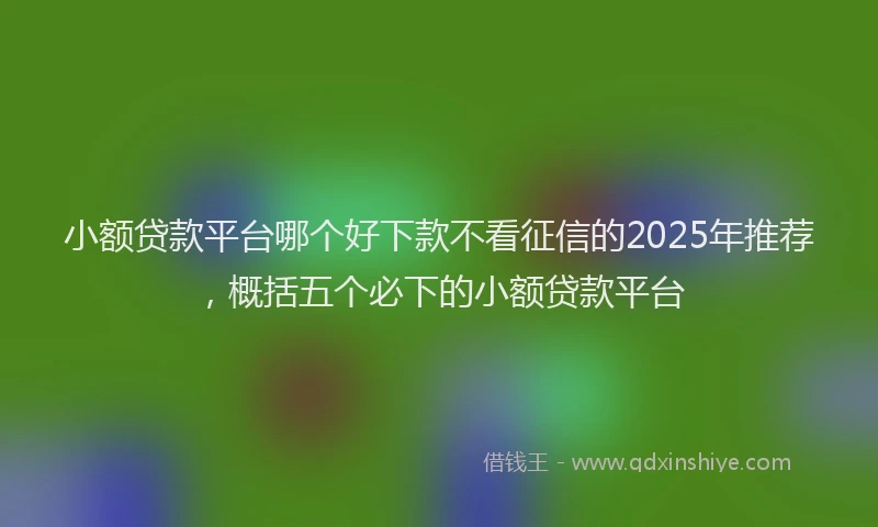 小额贷款平台哪个好下款不看征信的2025年推荐，概括五个必下的小额贷款平台