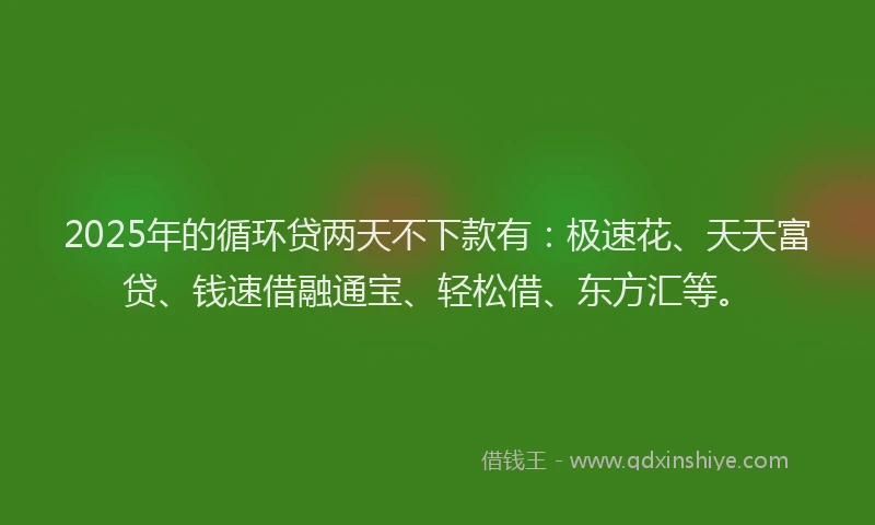 2025年的循环贷两天不下款有：极速花、天天富贷、钱速借融通宝、轻松借、东方汇等。