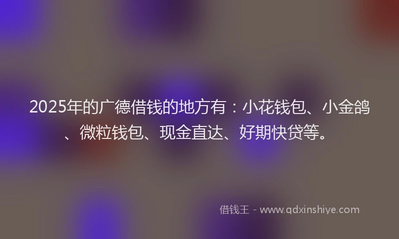 2025年的广德借钱的地方有：小花钱包、小金鸽、微粒钱包、现金直达、好期快贷等。