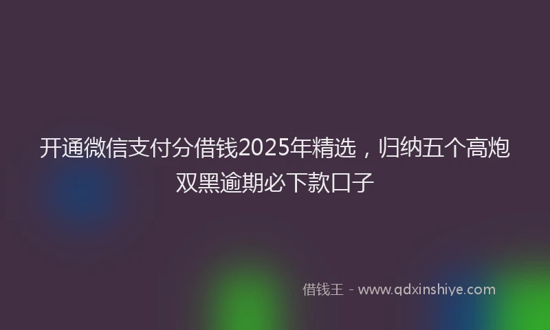 开通微信支付分借钱2025年精选，归纳五个高炮双黑逾期必下款口子