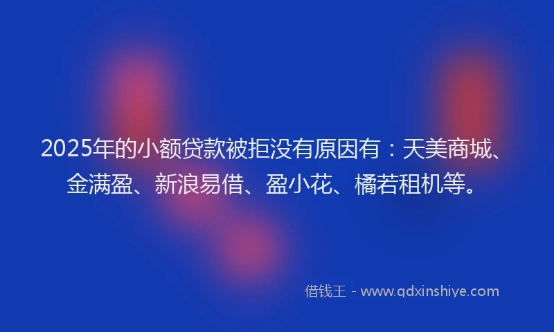 2025年的小额贷款被拒没有原因有：天美商城、金满盈、新浪易借、盈小花、橘若租机等。