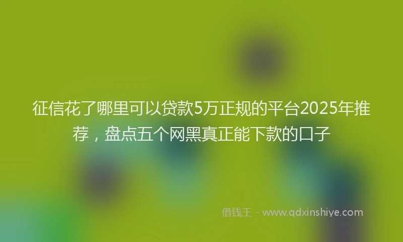 征信花了哪里可以贷款5万正规的平台2025年推荐，盘点五个网黑真正能下款的口子