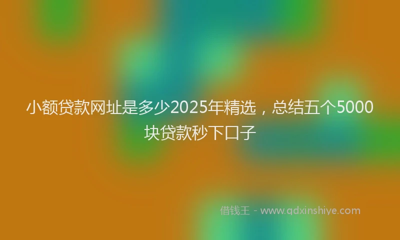 小额贷款网址是多少2025年精选，总结五个5000块贷款秒下口子