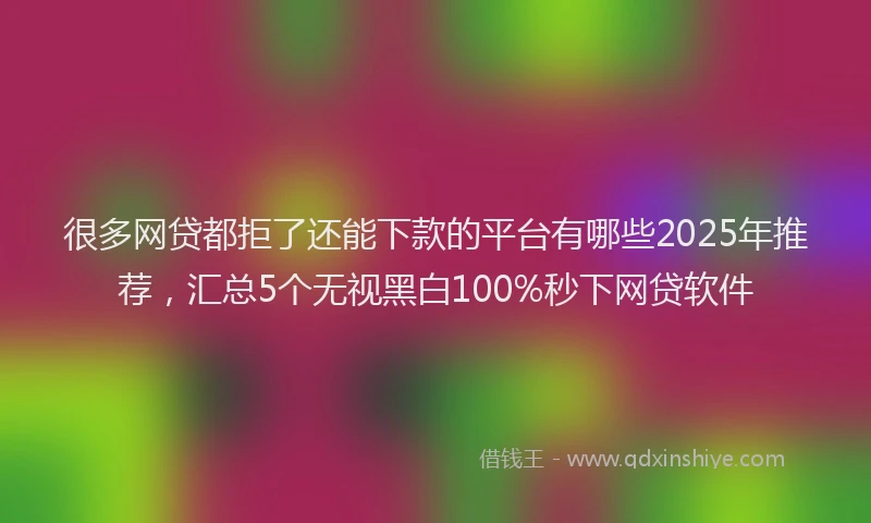 很多网贷都拒了还能下款的平台有哪些2025年推荐，汇总5个无视黑白100%秒下网贷软件