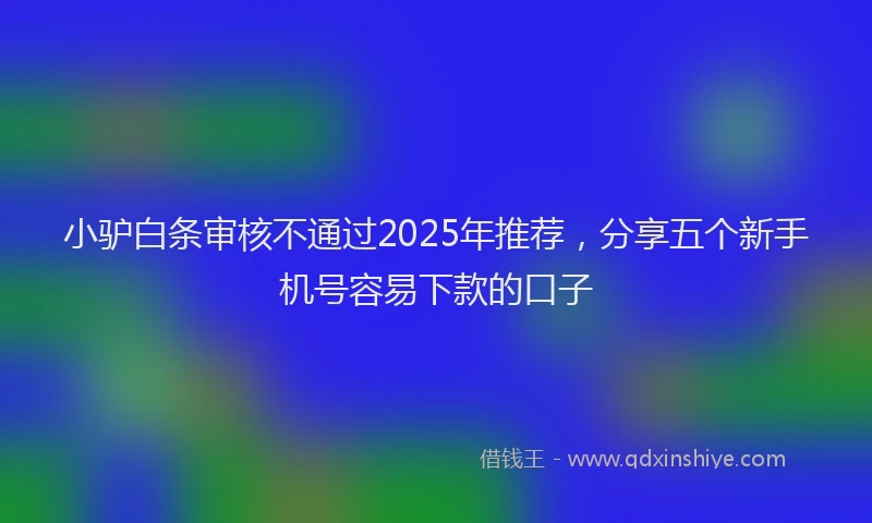 小驴白条审核不通过2025年推荐，分享五个新手机号容易下款的口子