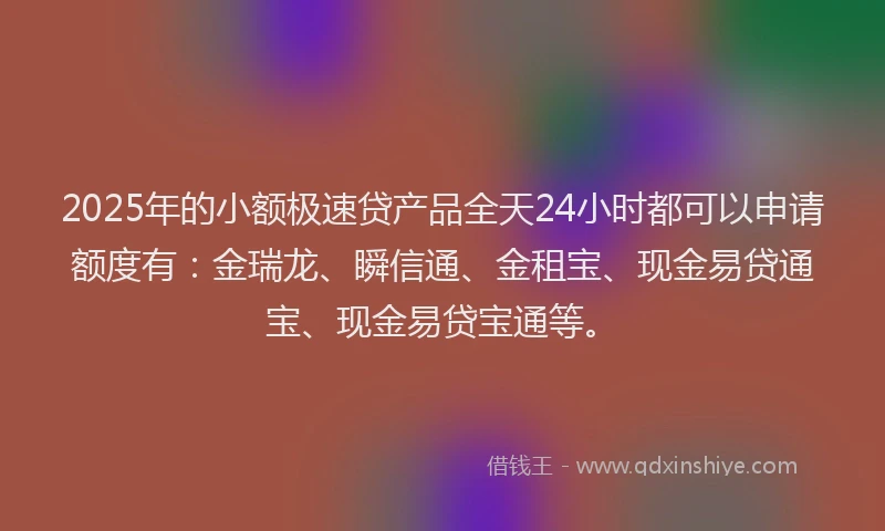 2025年的小额极速贷产品全天24小时都可以申请额度有：金瑞龙、瞬信通、金租宝、现金易贷通宝、现金易贷宝通等。
