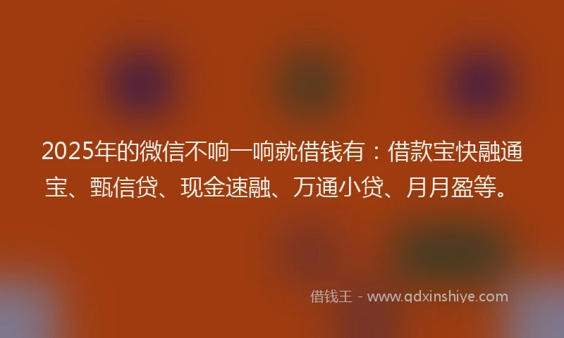 2025年的微信不响一响就借钱有：借款宝快融通宝、甄信贷、现金速融、万通小贷、月月盈等。