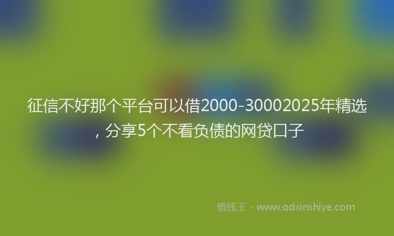 征信不好那个平台可以借2000-30002025年精选，分享5个不看负债的网贷口子