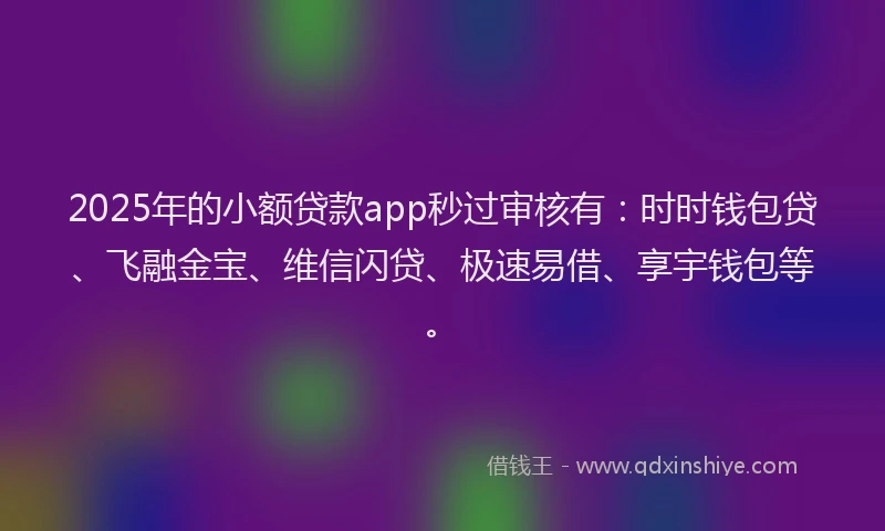 2025年的小额贷款app秒过审核有：时时钱包贷、飞融金宝、维信闪贷、极速易借、享宇钱包等。