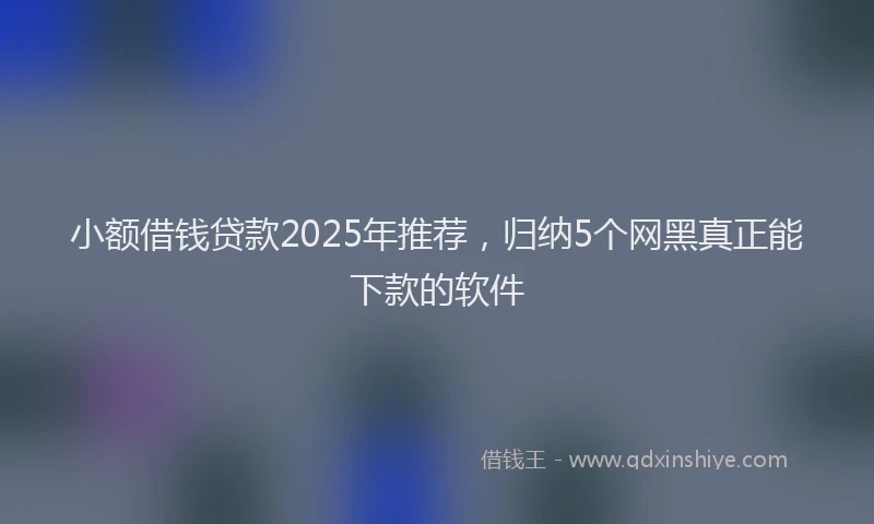 小额借钱贷款2025年推荐，归纳5个网黑真正能下款的软件