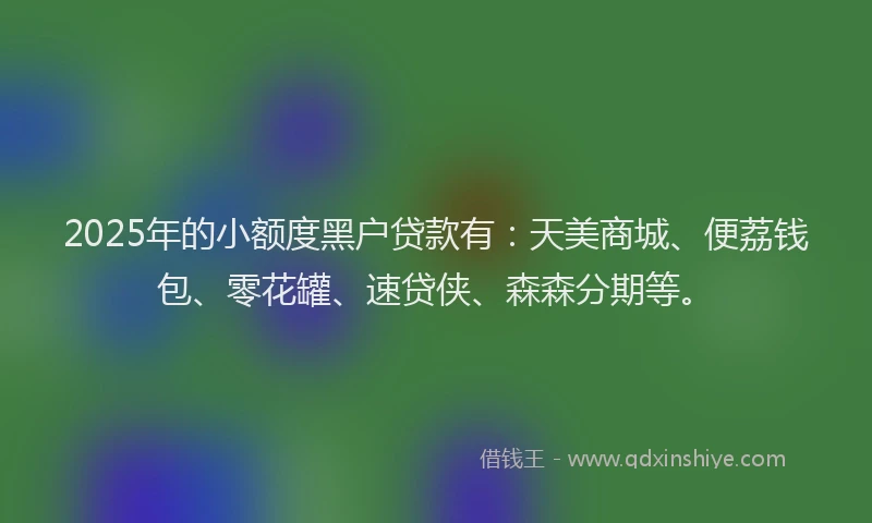 2025年的小额度黑户贷款有：天美商城、便荔钱包、零花罐、速贷侠、森森分期等。