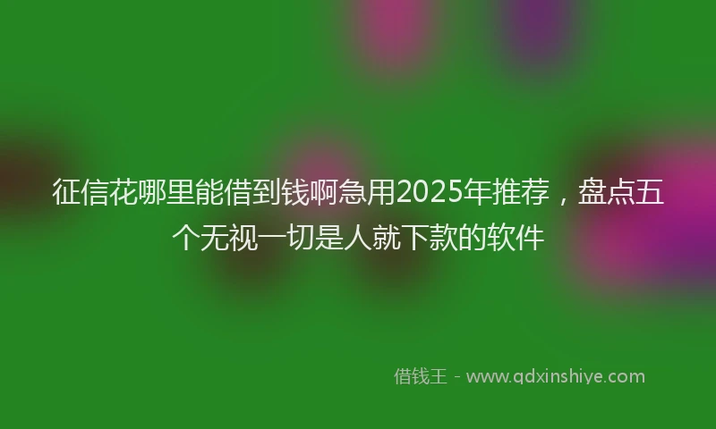 征信花哪里能借到钱啊急用2025年推荐，盘点五个无视一切是人就下款的软件