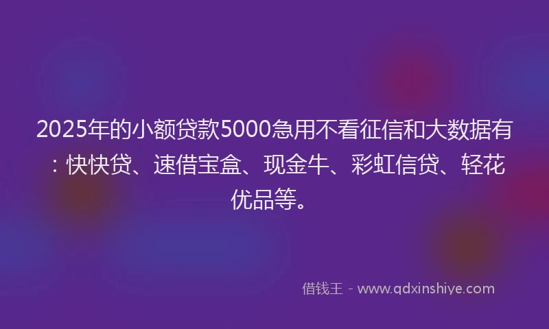 2025年的小额贷款5000急用不看征信和大数据有：快快贷、速借宝盒、现金牛、彩虹信贷、轻花优品等。