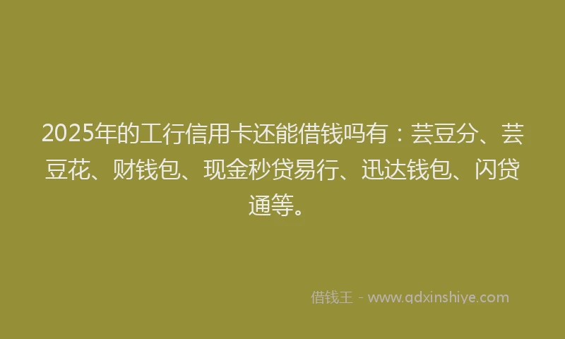 2025年的工行信用卡还能借钱吗有：芸豆分、芸豆花、财钱包、现金秒贷易行、迅达钱包、闪贷通等。
