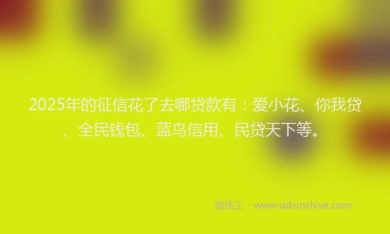 2025年的征信花了去哪贷款有：爱小花、你我贷、全民钱包、蓝鸟信用、民贷天下等。