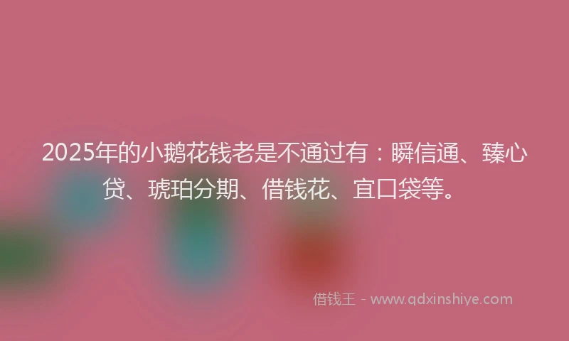 2025年的小鹅花钱老是不通过有：瞬信通、臻心贷、琥珀分期、借钱花、宜口袋等。