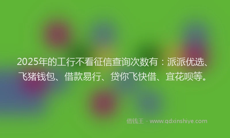 2025年的工行不看征信查询次数有：派派优选、飞猪钱包、借款易行、贷你飞快借、宜花呗等。