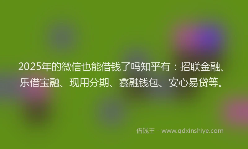 2025年的微信也能借钱了吗知乎有：招联金融、乐借宝融、现用分期、鑫融钱包、安心易贷等。