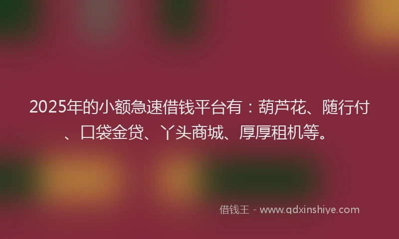 2025年的小额急速借钱平台有：葫芦花、随行付、口袋金贷、丫头商城、厚厚租机等。