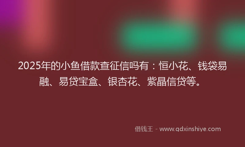 2025年的小鱼借款查征信吗有：恒小花、钱袋易融、易贷宝盒、银杏花、紫晶信贷等。
