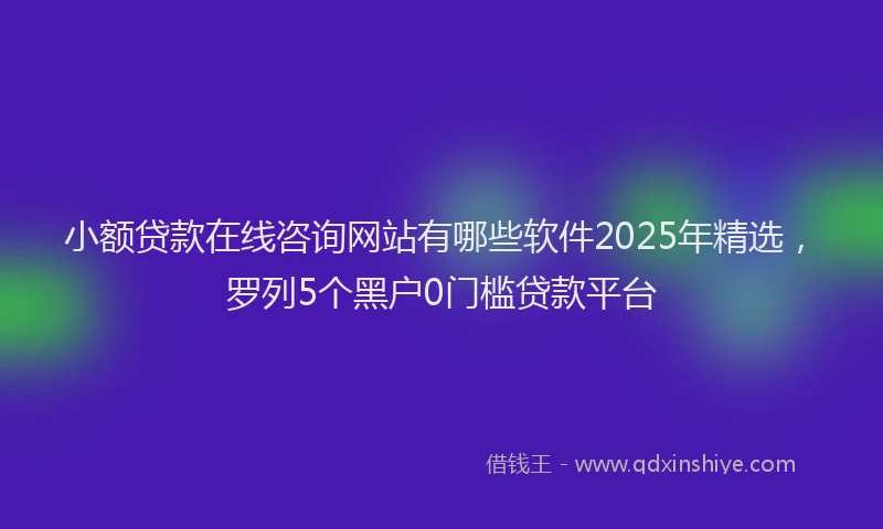 小额贷款在线咨询网站有哪些软件2025年精选，罗列5个黑户0门槛贷款平台