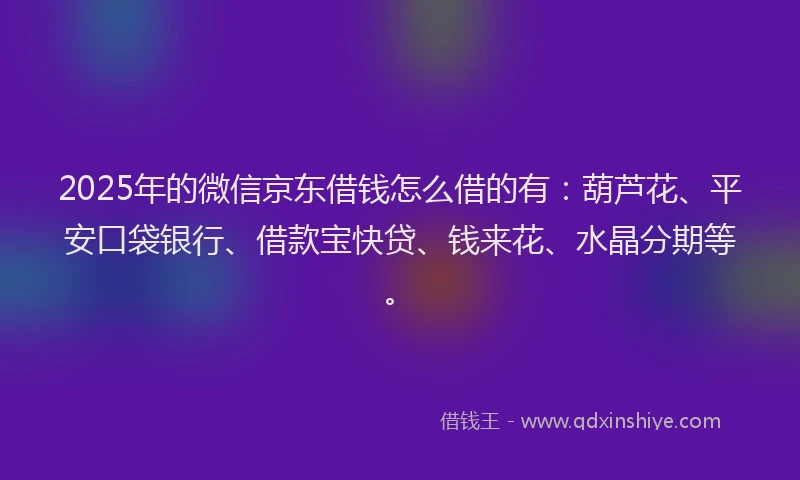 2025年的微信京东借钱怎么借的有：葫芦花、平安口袋银行、借款宝快贷、钱来花、水晶分期等。
