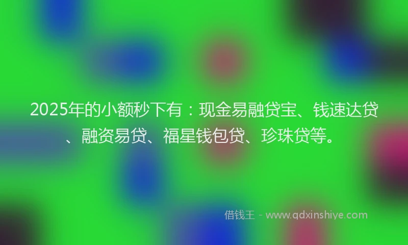 2025年的小额秒下有：现金易融贷宝、钱速达贷、融资易贷、福星钱包贷、珍珠贷等。