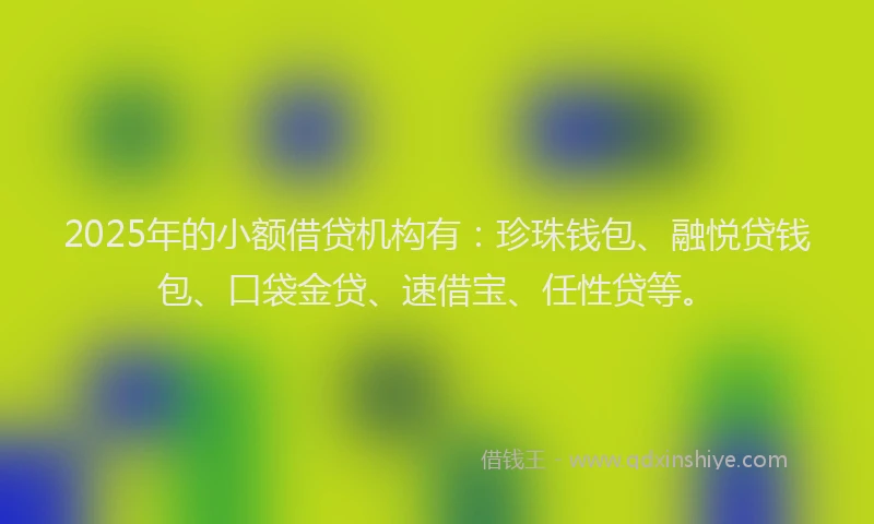 2025年的小额借贷机构有：珍珠钱包、融悦贷钱包、口袋金贷、速借宝、任性贷等。