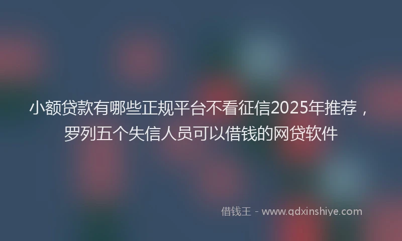 小额贷款有哪些正规平台不看征信2025年推荐，罗列五个失信人员可以借钱的网贷软件
