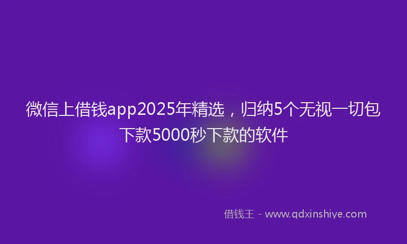 微信上借钱app2025年精选，归纳5个无视一切包下款5000秒下款的软件
