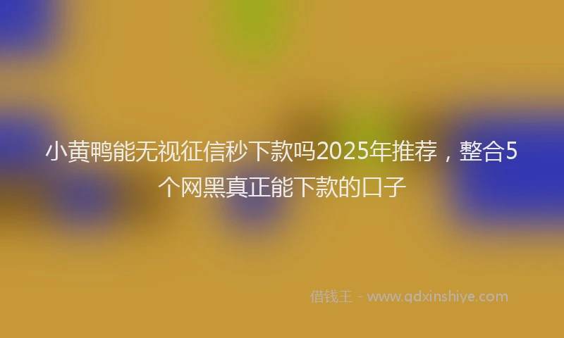 小黄鸭能无视征信秒下款吗2025年推荐，整合5个网黑真正能下款的口子