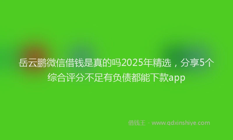 岳云鹏微信借钱是真的吗2025年精选，分享5个综合评分不足有负债都能下款app