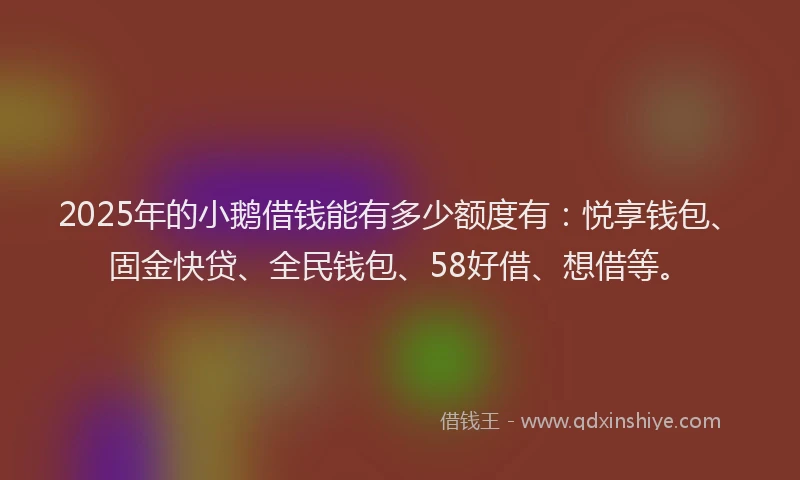 2025年的小鹅借钱能有多少额度有：悦享钱包、固金快贷、全民钱包、58好借、想借等。