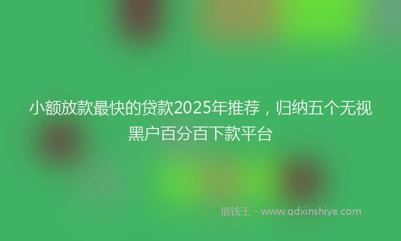 小额放款最快的贷款2025年推荐，归纳五个无视黑户百分百下款平台